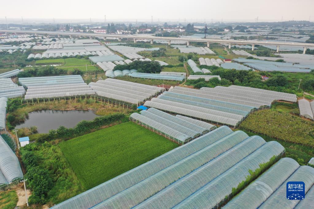 星河网上娱乐